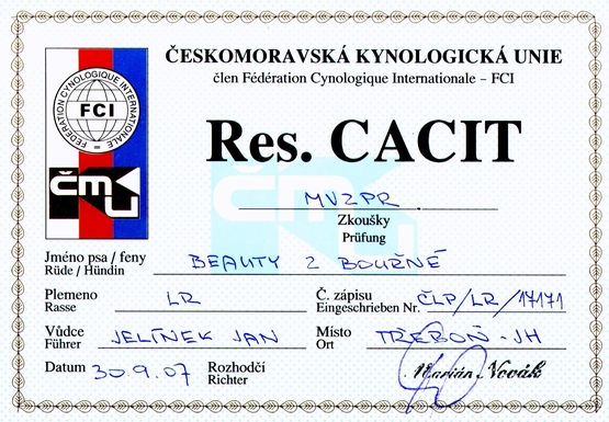 ResCACIT Mezinárodní všestrané zkoušky z přinášení retrieverů - Třeboň 28.9.07