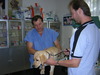 U veterináře