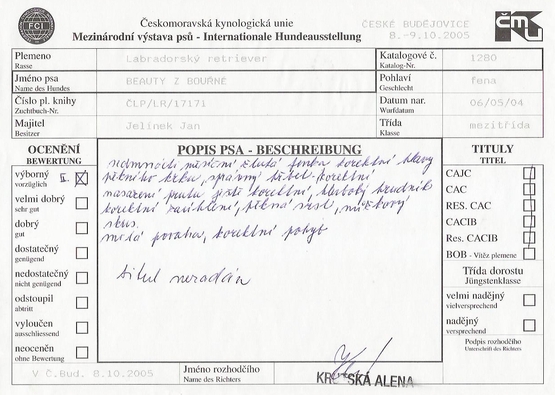 Posudkový list MVP - České Budějovice 8.10.05
