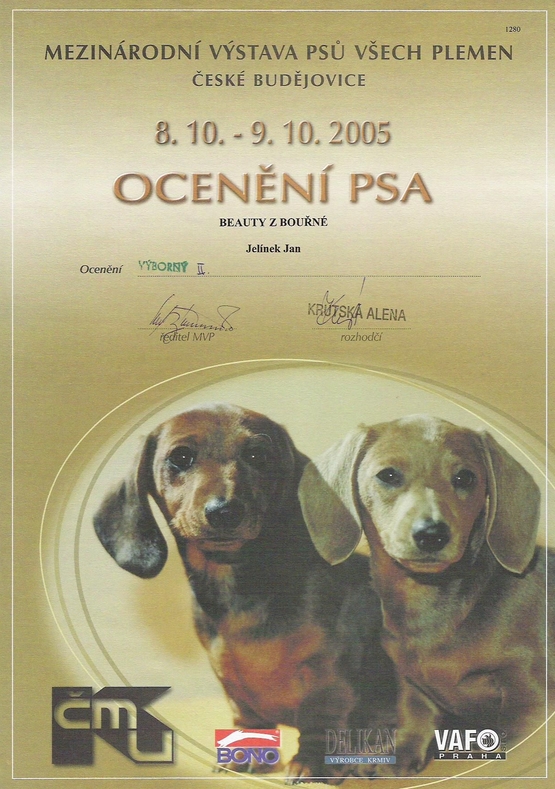 Diplom MVP - České Budějovice 8.10.05