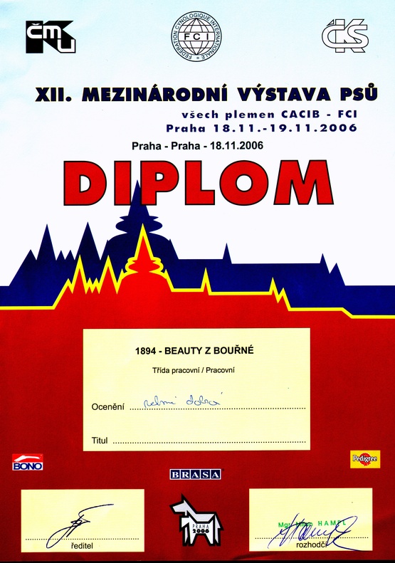 Diplom MVP - Praha 29.4.06